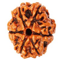 RUDRAKSHA